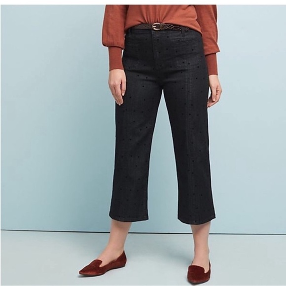 Pilcro and The Letterpress High Rise Wide Leg Polka Dot Jeans Sz 30 - Picture 1 of 15